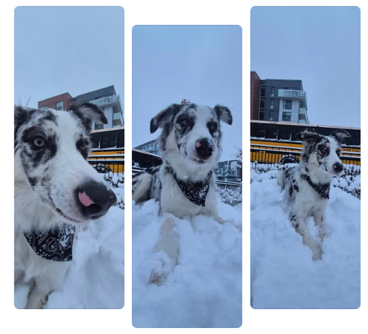 Montreal Hit with First Storm of 2025