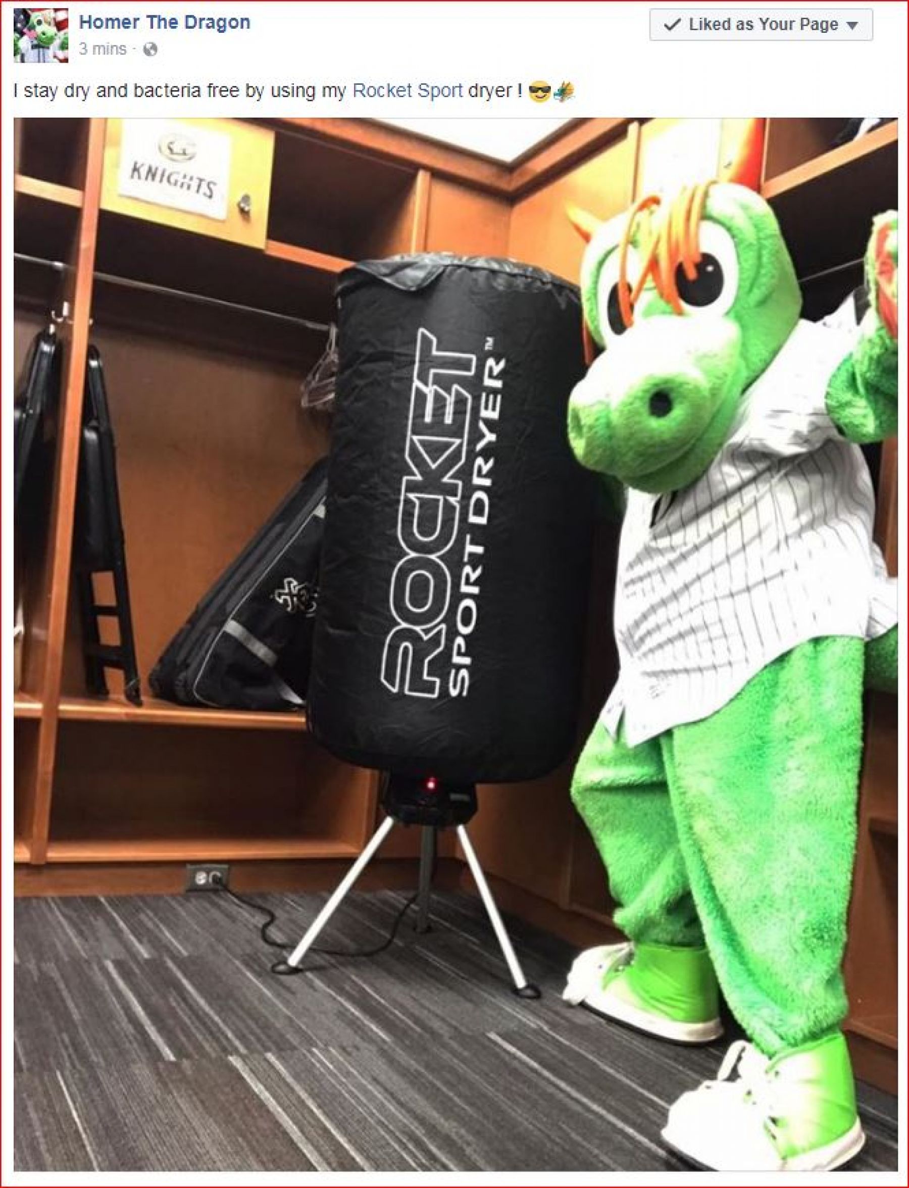 Homer The Dragon 🐲 (@cltknightshomer) • Instagram photos and videos