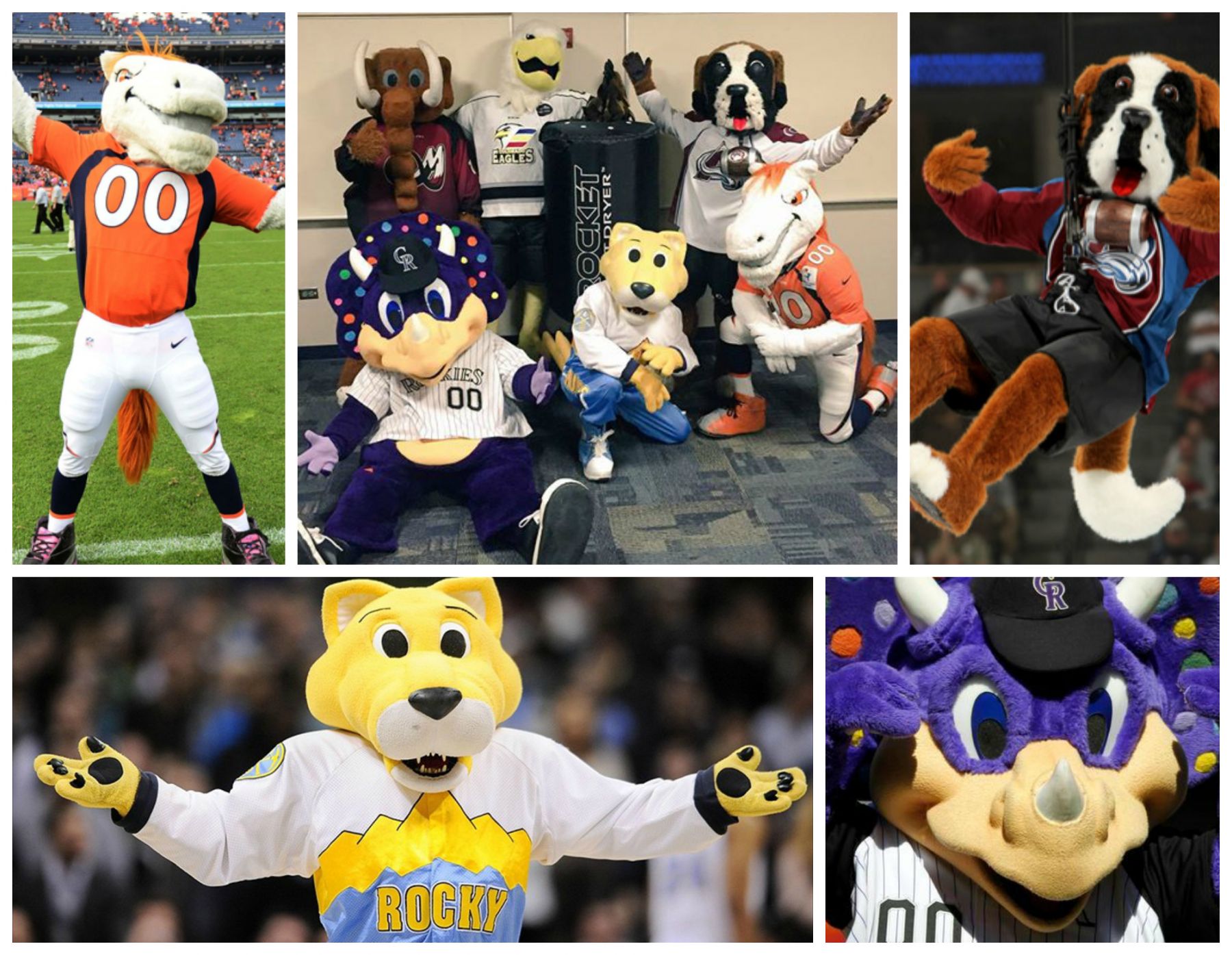 My completely arbitrary yet definitive ranking of mascots from each team in  the MLB, NBA, NFL, and NHL